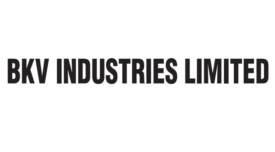 BKV Industries Ltd Q2 FY2024 net profit drops to Rs. 2.62 lakhs